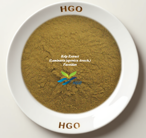 Approvisionnement direct d'usine HGO en extrait pur de varech naturel (Laminaria japonica Aresch.) Fucoidan de qualité alimentaire, spécification 5% - 98% - Product Image 1
