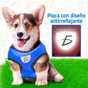 Set di Pettorina e Guinzaglio per Animali Domestici, Comodo e Traspirante, Stile Semplice e Grazioso per Passeggiate e Addestramento di Cani e Gatti - Product Image 2