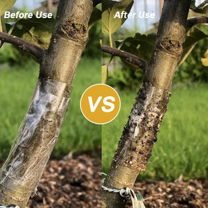 Bande adhésive <span class=keywords><strong>anti</strong></span>-insectes <span class=keywords><strong>pour</strong></span> arbres <span class=keywords><strong>ANTI</strong></span> 5m, empêche les ravageurs d'atteindre les canopies des arbres - Product Image 2