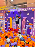 Équipement de parc d'aventure intérieur commercial : Mur d'escalade, système d'escalade automatique, toboggan géant, solution pour centre de divertissement familial