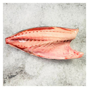 Filet de hamachi en gros SP, présenté avec une coupe de qualité export et une fraîcheur optimale - Product Image 6