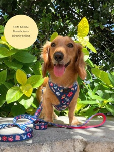 Graziosa imbracatura regolabile per cane e cucciolo-imbracatura nautica per cani da marinaio in blu Navy con Design ancora e barca - Product Image 4