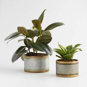 Maceta de metal galvanizado con borde dorado para uso en interiores y exteriores para decoraciones de bodas en el jardín y el hogar - Product Image 2