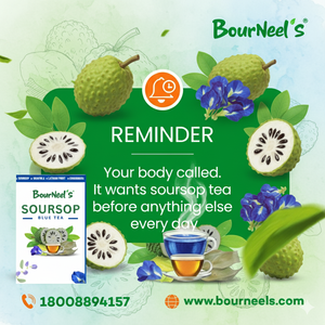 BourNeels Graviola Blue Tea Box 20 sachets de thé à tremper sans conservateur Thé Kadha bleu à haute teneur en vitamine C - Product Image 1