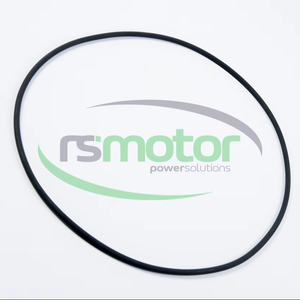 Original/OEM O-Seal para MWM Nuevas piezas de motor de gas natural para motor de maquinaria - Product Image 1