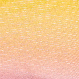 Ensembles de yoga 2 pièces sans couture pour femmes ensembles de vêtements de sport pour femmes ensembles de yoga de sport fitness avec logo personnalisé - Product Image 3