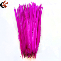 Vente en gros de plumes de faisan collier blanchies et teintes de 18-20 pouces pour robes de samba, décorations de mariage et de carnaval, et accessoires pour cheveux