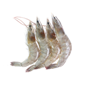 Approvisionnement en gros de crevettes tigrées noires entières surgelées avec procédé de congélation BQF et assurance qualité supérieure - Product Image 3
