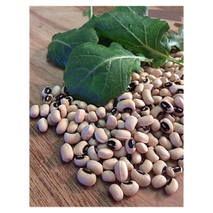 Expédition rapide de pois à yeux noirs fournis en quantité importante - Product Image 3