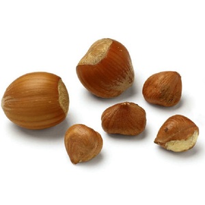 Bester Lieferant Rohe Haselnuss kerne In Shell Zum Verkauf billig Haselnuss Bulk Bio Geröstete Haselnuss