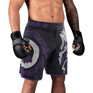 Venta al por mayor de fábrica Plain Stretchy Fight Mma Kick Boxing Muay Thai Martial Arts Fight Shorts Plus SizeHot venta de productos - Product Image 5