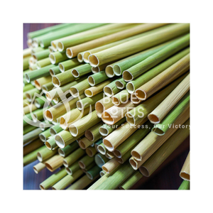 หลอดหญ้าสีฟ้าสำหรับเพื่อนเชิงนิเวศ100% - Product Image 1