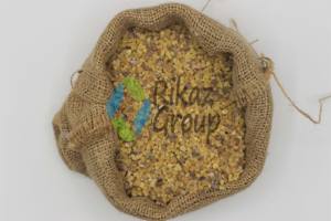 Vente en gros d'encens en résine du Soudan plante naturelle à valeur médicinale Oilbanum - Product Image 5