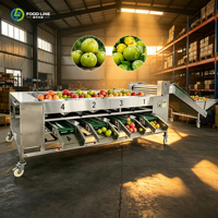 Automatisch Citrus Appel Peer Sorteersysteem Fruit- en Groente Sorteermachine