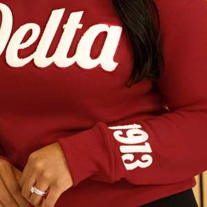 Maroon Delta 1913 Sleeve Chenille <b>Crewneck</b> Sweatshirt Premium Fleece Sorority Apparel Greek DST Warm Winter Top - Product Image 4