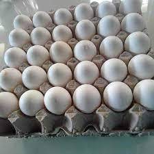 ไข่ไก่สดสีขาว ออร์แกนิค ไข่สัตว์ปีก จำหน่ายส่ง โปรตีนสูง สำหรับธุรกิจอาหาร - Product Image 3