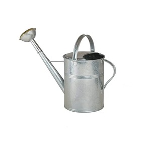 Nouveau design, arrosoir en métal galvanisé argenté, arrosoir en acier galvanisé de qualité supérieure pour plantes avec acier inoxydable - Product Image 5