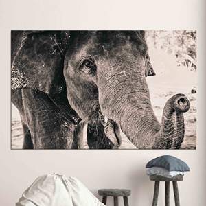 Impresión en Lienzo de Elefante Elegante en Vidrio Templado - Arte Animal Moderno, Lienzo Enrollado - Product Image 1