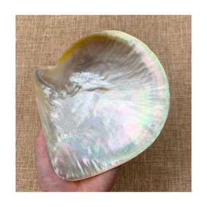 TOP VENTE MÈRE DE PERLE PLATEAU DE SERVICE PLAT AVEC NOUVEAU DESIGN DE L'USINE DIRECT BON MARCHÉ PRIX VIETNAM - Product Image 4