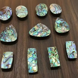 หินเปลือกหอยเป๋าฮื้อธรรมชาติคุณภาพสูง ทรงหลังเบี้ย ขัดเงา สำหรับบำบัดรักษา รูปทรงคละแบบ - Product Image 2