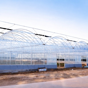 Film plastique PE <span class=keywords><strong>anti</strong></span>-<span class=keywords><strong>mousse</strong></span> spécialisé pour les serres agricoles, avec une protection UV et une durée de vie de 3 à 5 ans. - Product Image 2