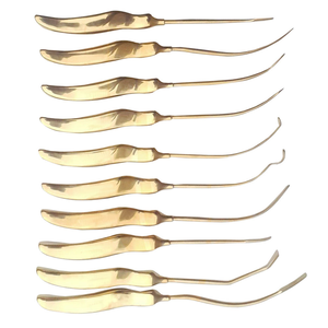 Ensemble d'élevateurs périodontiques dentaires en acier inoxydable plaqué or, kit d'instruments d'extraction dentaire manuels, instruments chirurgicaux de base, CE - Product Image 2