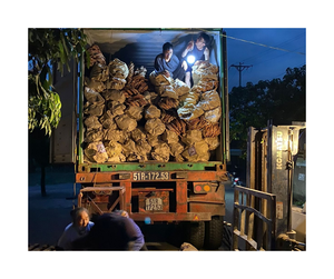 เสาหวายที่มีความแข็งแรงสูงจากเวียดนามพื้นผิวเรียบและเสาหวายยืดหยุ่นตามธรรมชาติสำหรับการส่งออกและทำด้วยมือ - Product Image 2