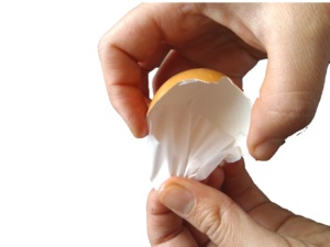 Polvo de Membrana de Cáscara de Huevo Natural (<span class=keywords><strong>ESM</strong></span>), Ingrediente para Matrices Articulares - Product Image 2