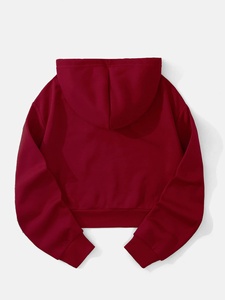 Sweat à capuche en molleton court pour femme Logo avant personnalisable Vêtements d'hiver avec col à capuche Sweatshirts Pakistan - Product Image 5
