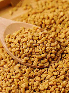 Semillas de Fenogreco Frescas de Excelente Calidad para Cocina Casera, Té de Hierbas, Remedios Naturales, HP Valia Disponible a Precio de Mayoreo - Product Image 5