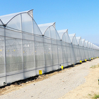 Serre Agricole Transparente Monopente Compacte, Kit Complet Anti-Âge avec Couverture en Film PE 150/200 microns pour Plantes d'Extérieur