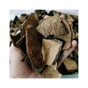 Coquille de noix de coco brute naturelle du Vietnam, matériau durable pour les ateliers d'artisanat, les usines de briquettes de charbon de bois et les commandes d'exportation - Product Image 1