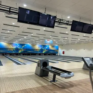 Máquina De Boliche De Qualidade Confiável Pins Lane Equipamento Sintético Tenpin Bowling Alley Com Bola De Boliche