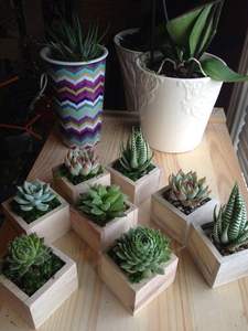 ARTESANÍA maceta de madera Wishing Well maceta decoración de jardín de patio trasero macetas de madera creativas macetas de flores de corteza jardín - Product Image 2