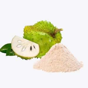 Muestra gratuita de Guanábana liofilizada orgánica de alta calidad (Annona Muricata/Graviola) en polvo a granel de la marca Vietnam EXPAD - Product Image 1