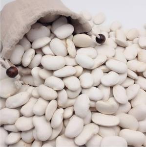 Haricots blancs biologiques naturels en gros / Grands haricots blancs égyptiens à vendre en Pologne - Product Image 5