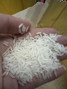 KDM ข้าวขาว-ข้าวหอมมะลิพรีเมี่ยม5% กลิ่นหอมของไทยฮอมมาลิ-แอนนา DO w/ A + 84 982153058 - Product Image 3