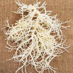 MUSSE DE MER SÉCHÉE TOP EXPORT – Produits Naturels Délicieux DU VIETNAM AU MEILLEUR PRIX - Product Image 3