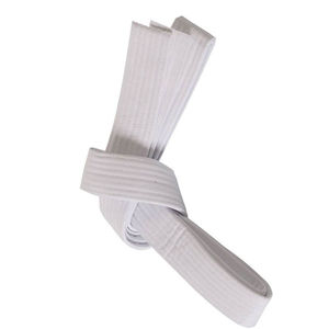 Ceinture de Taekwondo de qualité supérieure, couleur blanche, vente en gros, ceinture de championnat personnalisée, ceinture d'arts martiaux OEM, ceintures de Jiu Jitsu, de Karaté et de Taekwondo - Product Image 4