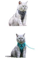 Laisse de chien, sangle de poitrine réglable pour petits chiens moyens, chats, gilet réfléchissant pour chiots du Viet Nam