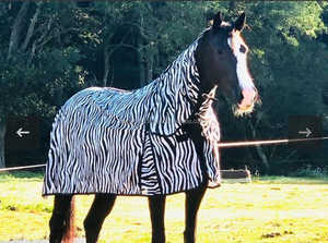 Sábana de malla de cebra de mosca de caballo, manta de caballo ecuestre de cuello de 250GSM, accesorios de alta calidad, el mejor precio al por mayor - Product Image 5