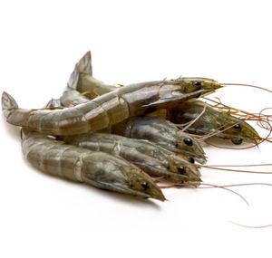 Camarones Vannamei Congelados de Primera Calidad, Tamaño Grande, Mariscos para Suministro al por Mayor - Product Image 5