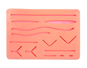 Kit de Suture Chirurgicale pour Étudiants, Instruments en Acier Inoxydable, Utilisation Manuelle, Comprend des Ciseaux et des Pinces - Certifié CE, Garantie 1 An - Product Image 3