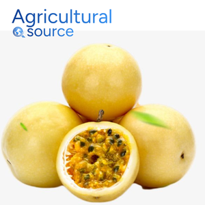 เสาวรสคุณภาพเยี่ยมสุดพิเศษจากเวียดนาม-ผลไม้สดช่วยเสริมสร้างสุขภาพผิวที่ดีสำหรับแยมโฮมเมดจากโรงงานเวียดนาม - Product Image 3