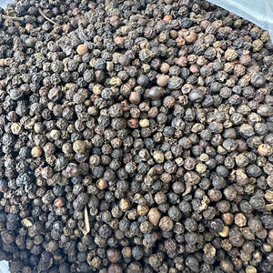 Vietnam Herbes et épices Poivre noir 500, 550, 570g/l faq & Asta Standard Grand goût Poivre noir pour l'exportation/ANNA DO - Product Image 1