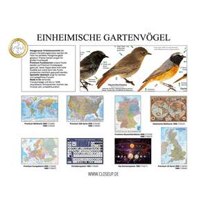 Native Garden Birds Custom Jigsaw Puzzle 2000 Pieces Educational Toy for Kids Paper Material DIY Logo Print Free Sample - Product Image 2