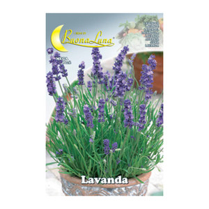 Semi Orto Lavanda - Product Image 1