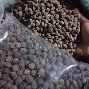 เบอร์รี่เมอร์เทิลออร์แกนิกฉลากสะอาด/ธรรมชาติ/เพิ่มภูมิคุ้มกัน/อาหารเสริมที่อุดมไปด้วย - Product Image 1