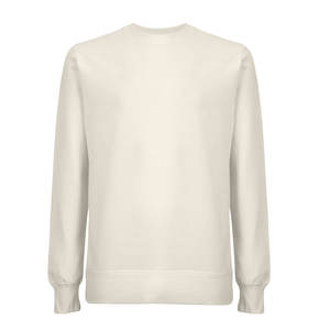 Sweat-shirt pour homme 100% coton, poids lourd - Product Image 1