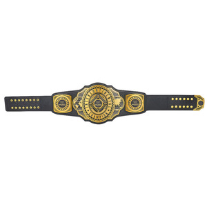 WWE World heavyweight แชมป์, เข็มขัดแชมป์โลกเฮฟวี่เวทขนาด4มม. WWE ชื่อ - Product Image 5